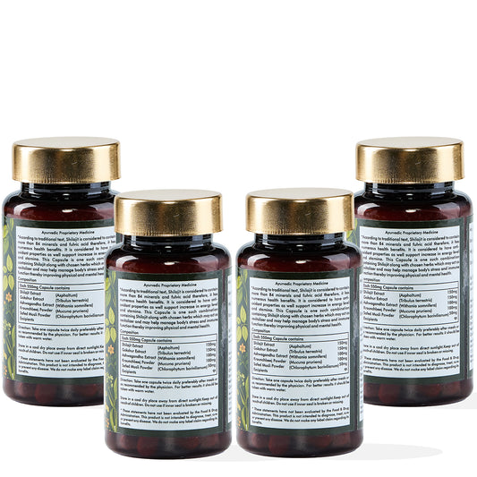 Vedic Shilajit - Combo Pack of 4 (Get 33% Off)